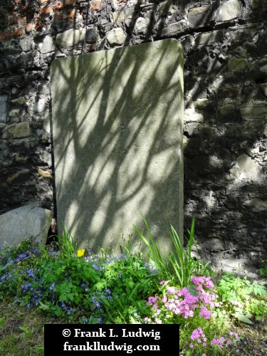 St Michan's Churchyard 6